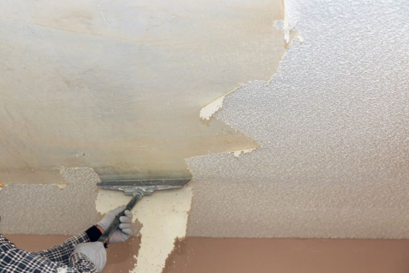 Ceiling Texture Removal